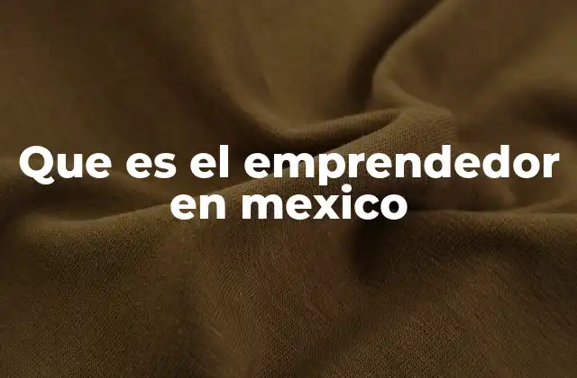 Que es el Emprendedor en Mexico 2 El emprendimiento en el tejido económico mexicano