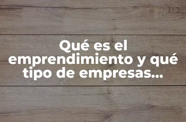Qué es el Emprendimiento y Qué Tipo de Empresas Incluye