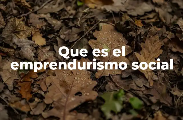 Que es el Emprendurismo Social