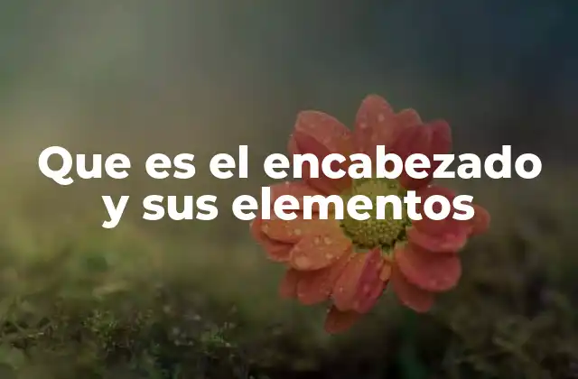 Que es el Encabezado y Sus Elementos