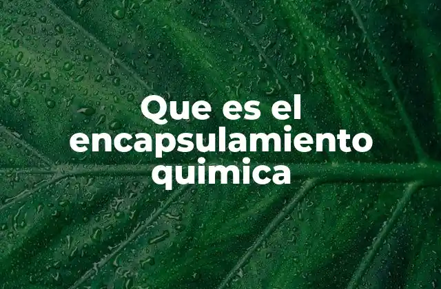 Que es el Encapsulamiento Quimica