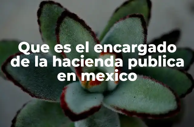 Que es el Encargado de la Hacienda Publica en Mexico
