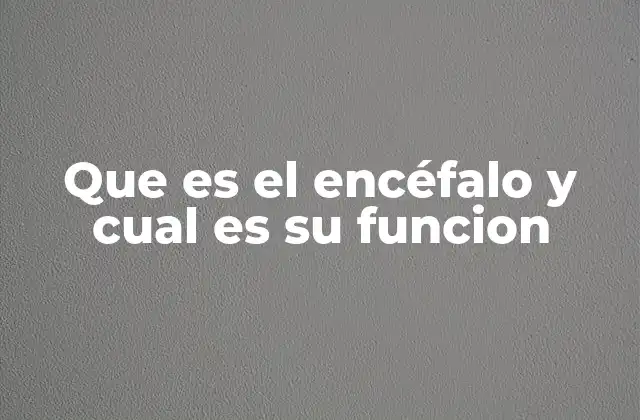 Que es el Encéfalo y Cual es Su Funcion