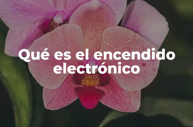 Qué es el Encendido Electrónico 2 El funcionamiento del sistema de encendido en los vehículos modernos