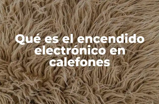 Qué es el Encendido Electrónico en Calefones 2 Funcionamiento del sistema de encendido en calefones modernos