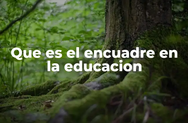 Que es el Encuadre en la Educacion