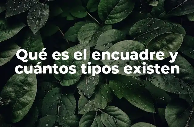 Qué es el Encuadre y Cuántos Tipos Existen