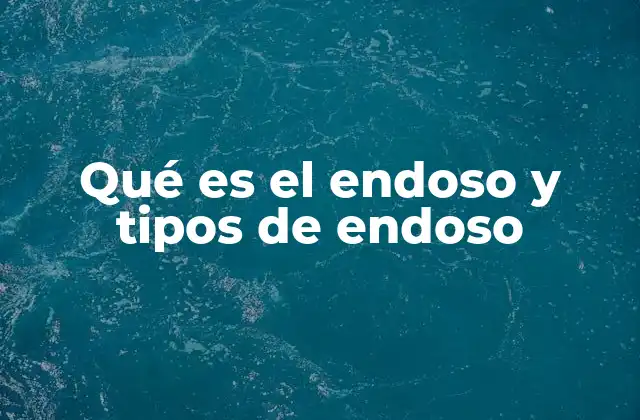 Qué es el Endoso y Tipos de Endoso