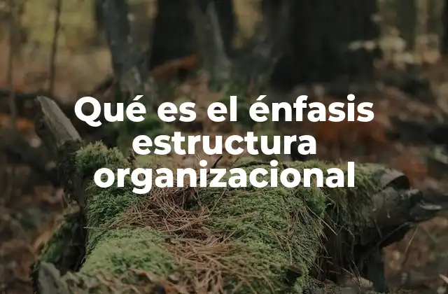 Qué es el Énfasis Estructura Organizacional