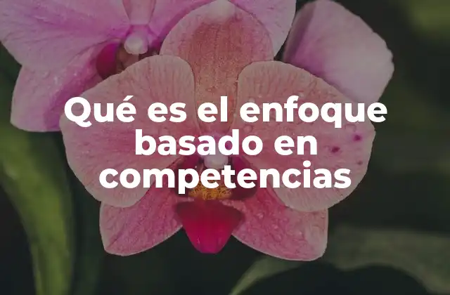 Qué es el Enfoque Basado en Competencias