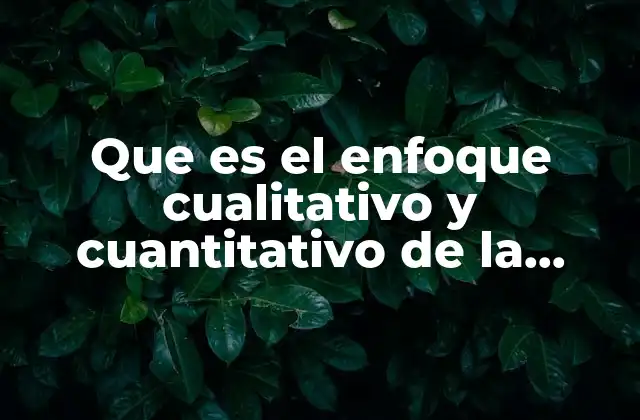 Que es el Enfoque Cualitativo y Cuantitativo de la Investigacion