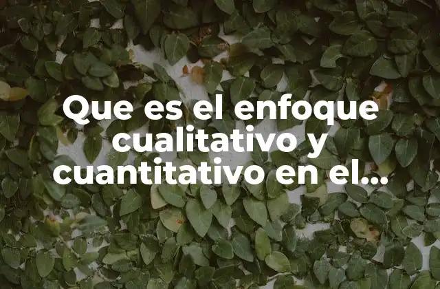 Que es el Enfoque Cualitativo y Cuantitativo en el Evaluacion