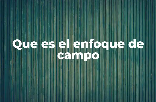 El enfoque de campo en la percepción humana