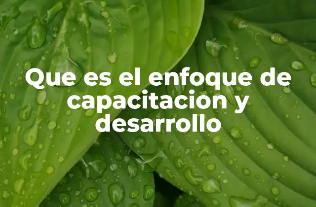 Estrategias clave para fortalecer el talento humano