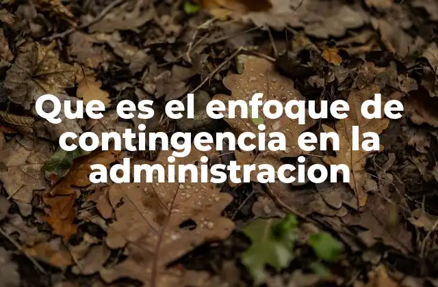 Que es el Enfoque de Contingencia en la Administracion