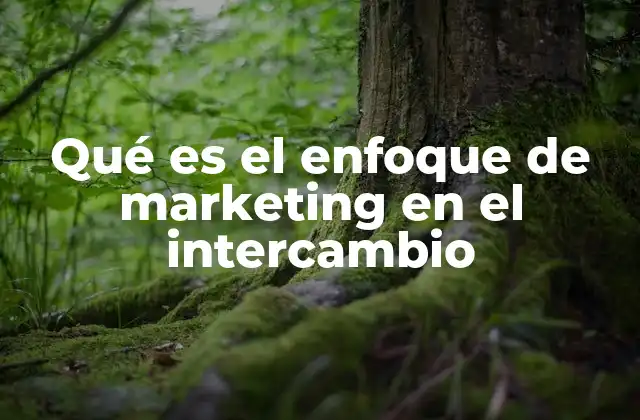Qué es el Enfoque de Marketing en el Intercambio