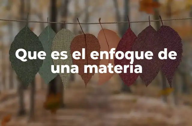 Que es el Enfoque de una Materia