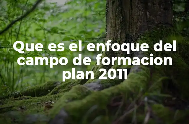 Que es el Enfoque Del Campo de Formacion Plan 2011