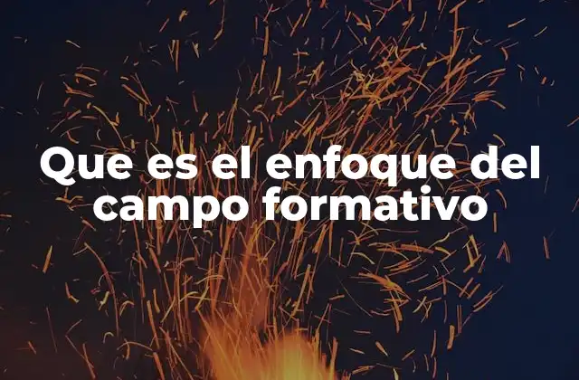 Que es el Enfoque Del Campo Formativo