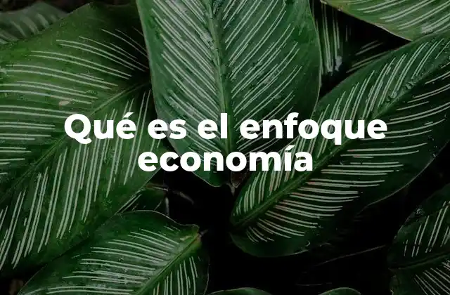 El enfoque económico como herramienta de análisis