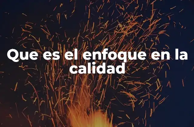 Que es el Enfoque en la Calidad