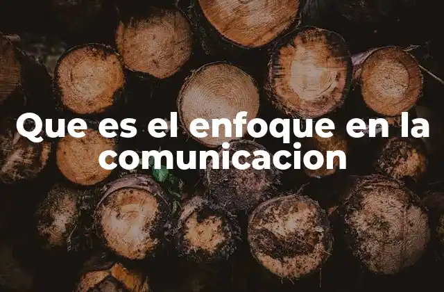 Que es el Enfoque en la Comunicacion