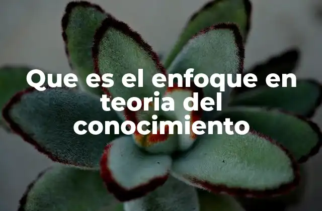 La importancia de los diferentes enfoques en la filosofía