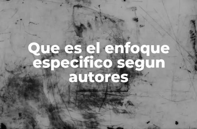 Que es el Enfoque Especifico Segun Autores