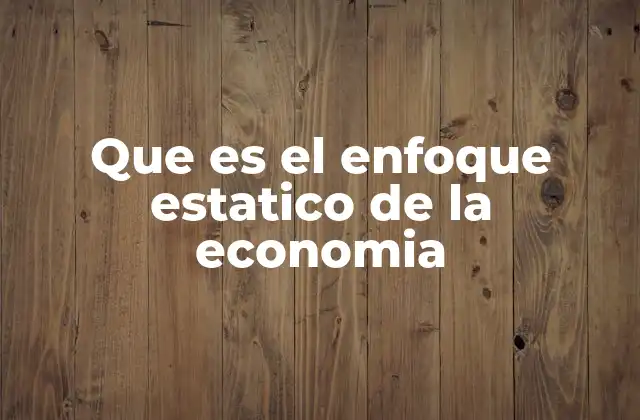 Que es el Enfoque Estatico de la Economia