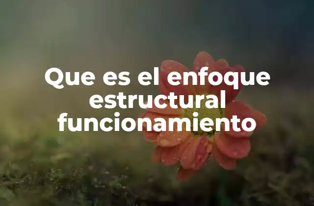 Que es el Enfoque Estructural Funcionamiento