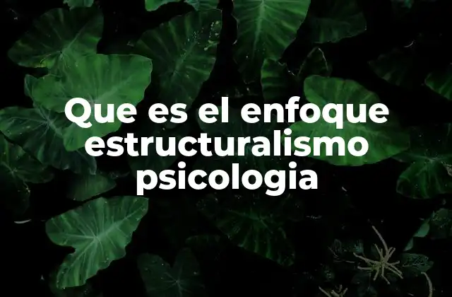 Que es el Enfoque Estructuralismo Psicologia