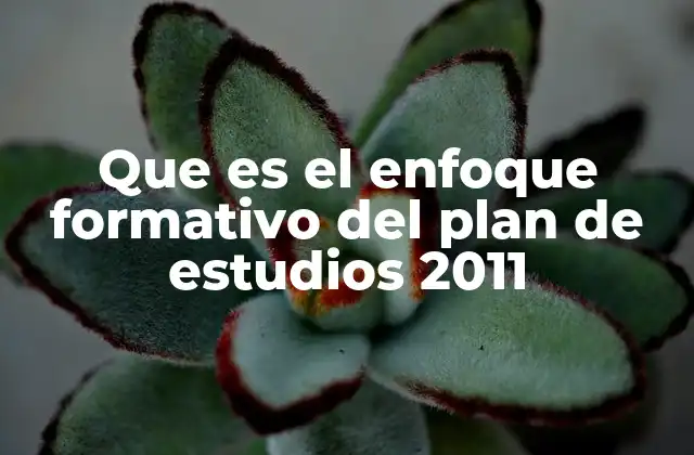 Que es el Enfoque Formativo Del Plan de Estudios 2011