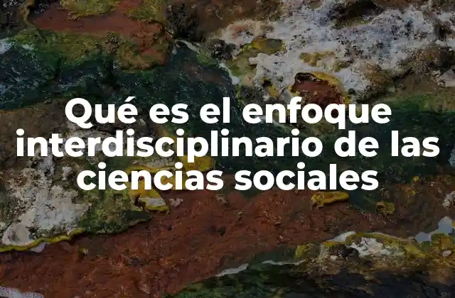 Qué es el Enfoque Interdisciplinario de las Ciencias Sociales