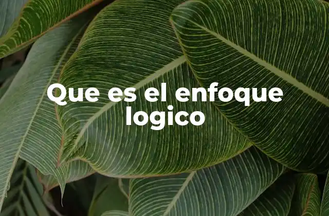 Que es el Enfoque Logico