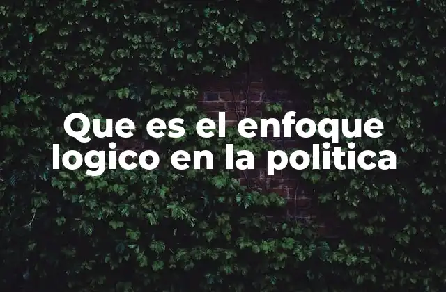 Que es el Enfoque Logico en la Politica