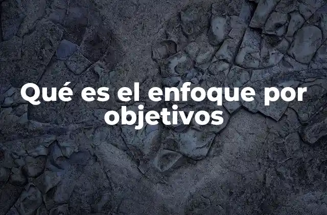 Qué es el Enfoque por Objetivos