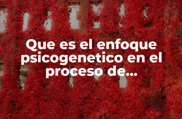 Que es el Enfoque Psicogenetico en el Proceso de Alfabetizacion