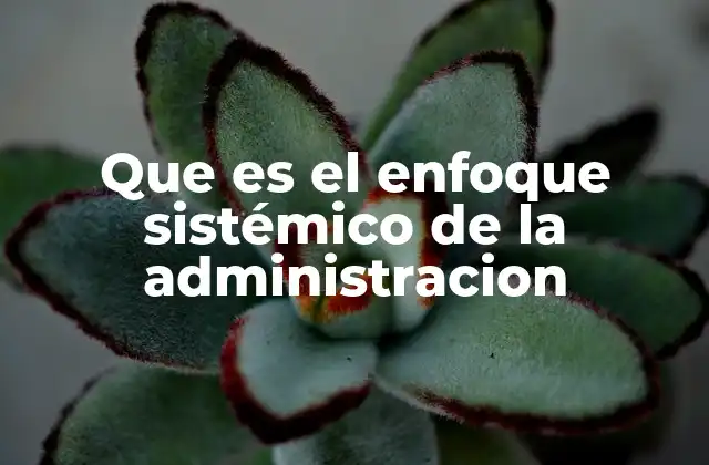 Que es el Enfoque Sistémico de la Administracion