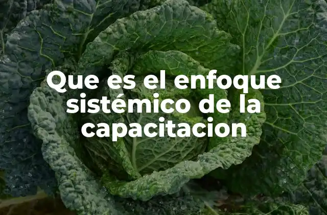 La importancia del enfoque sistémico en el desarrollo organizacional