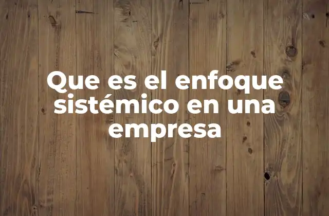 Que es el Enfoque Sistémico en una Empresa