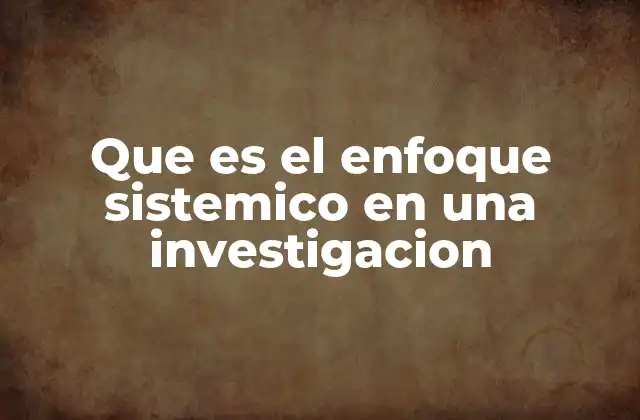 Que es el Enfoque Sistemico en una Investigacion
