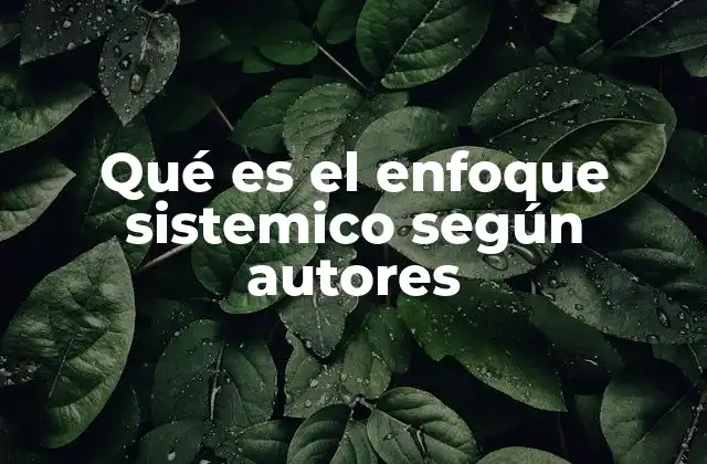 Qué es el Enfoque Sistemico según Autores