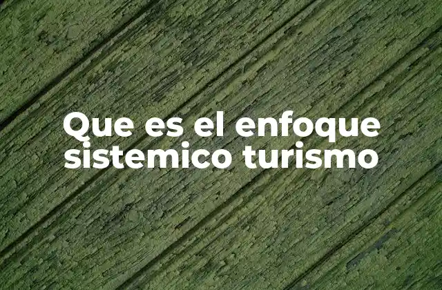Que es el Enfoque Sistemico Turismo