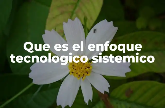 Que es el Enfoque Tecnologico Sistemico