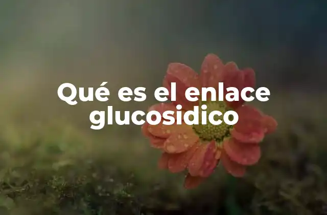 Qué es el Enlace Glucosidico