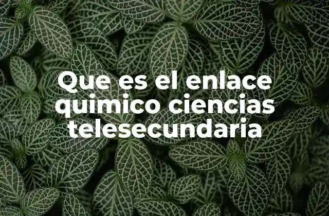Que es el Enlace Quimico Ciencias Telesecundaria