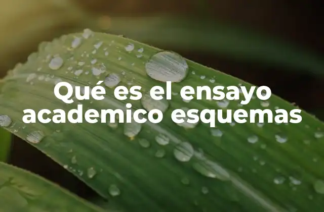 Qué es el Ensayo Academico Esquemas