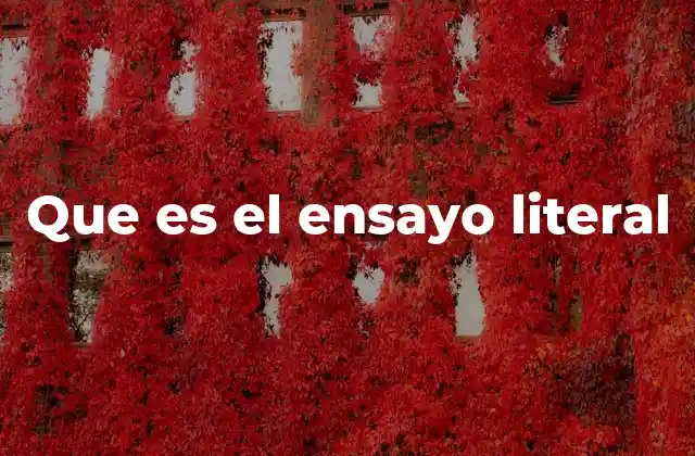 Que es el Ensayo Literal