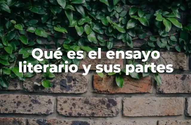 Qué es el Ensayo Literario y Sus Partes 2 La estructura y el propósito del ensayo literario