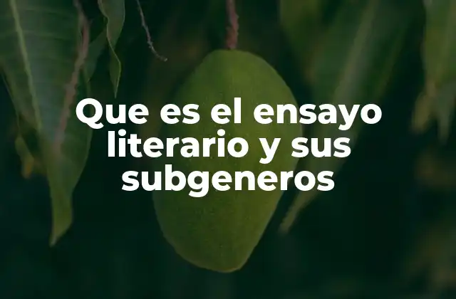 El ensayo literario como puerta de entrada a la reflexión crítica